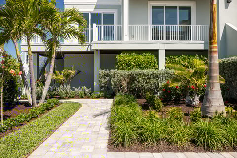 tropical landscape in front of house