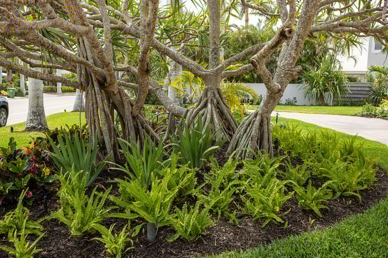 landscape beds front of house 
