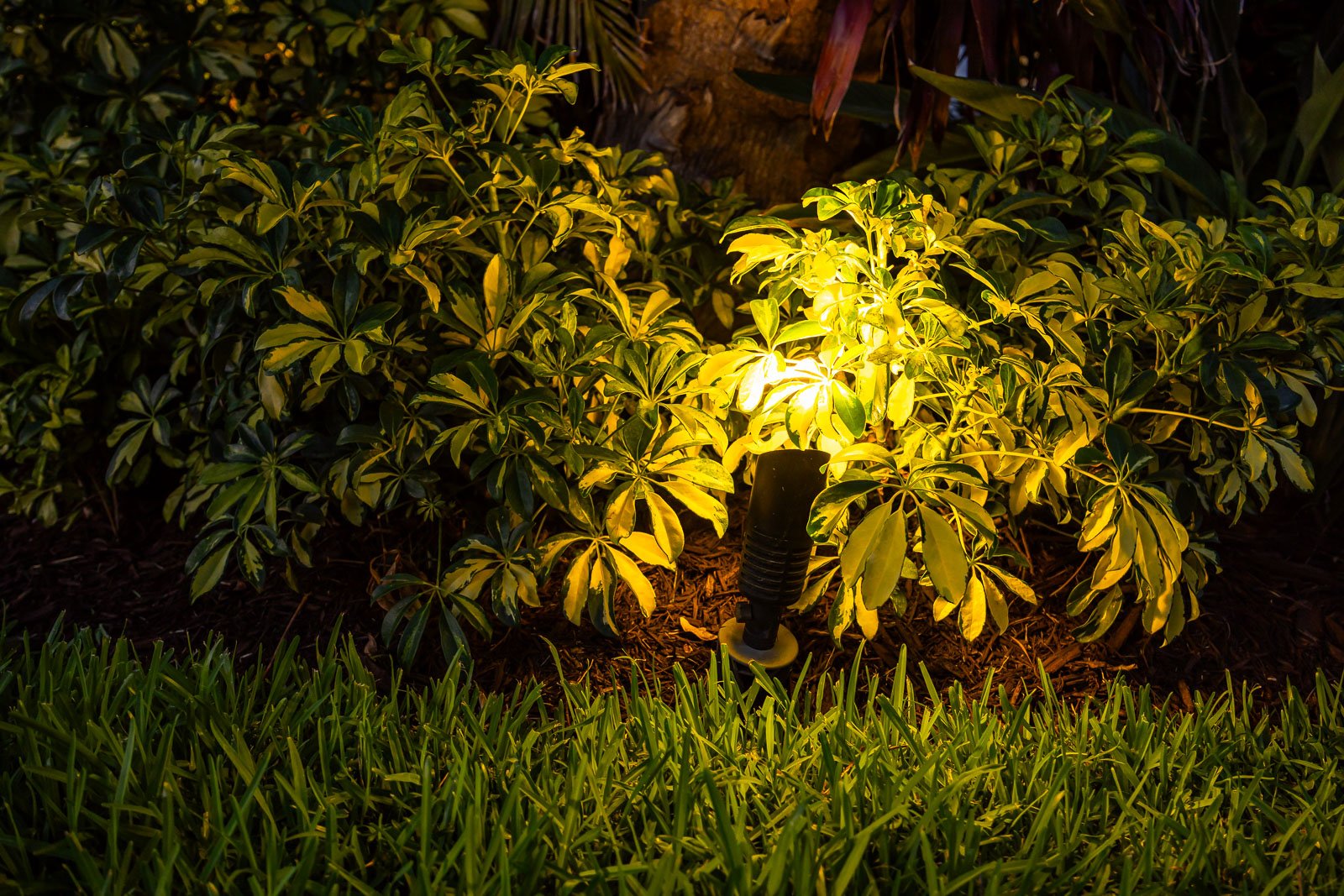 outdoor lighting landscape beds front of house 3-1