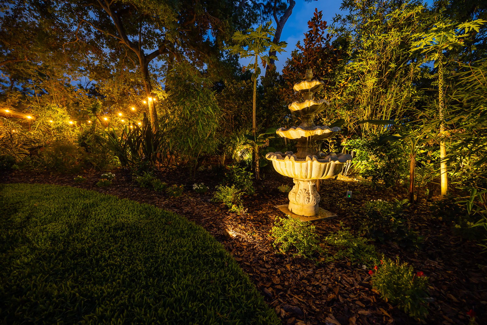 string lights outdoor lighting uplighting on fountain