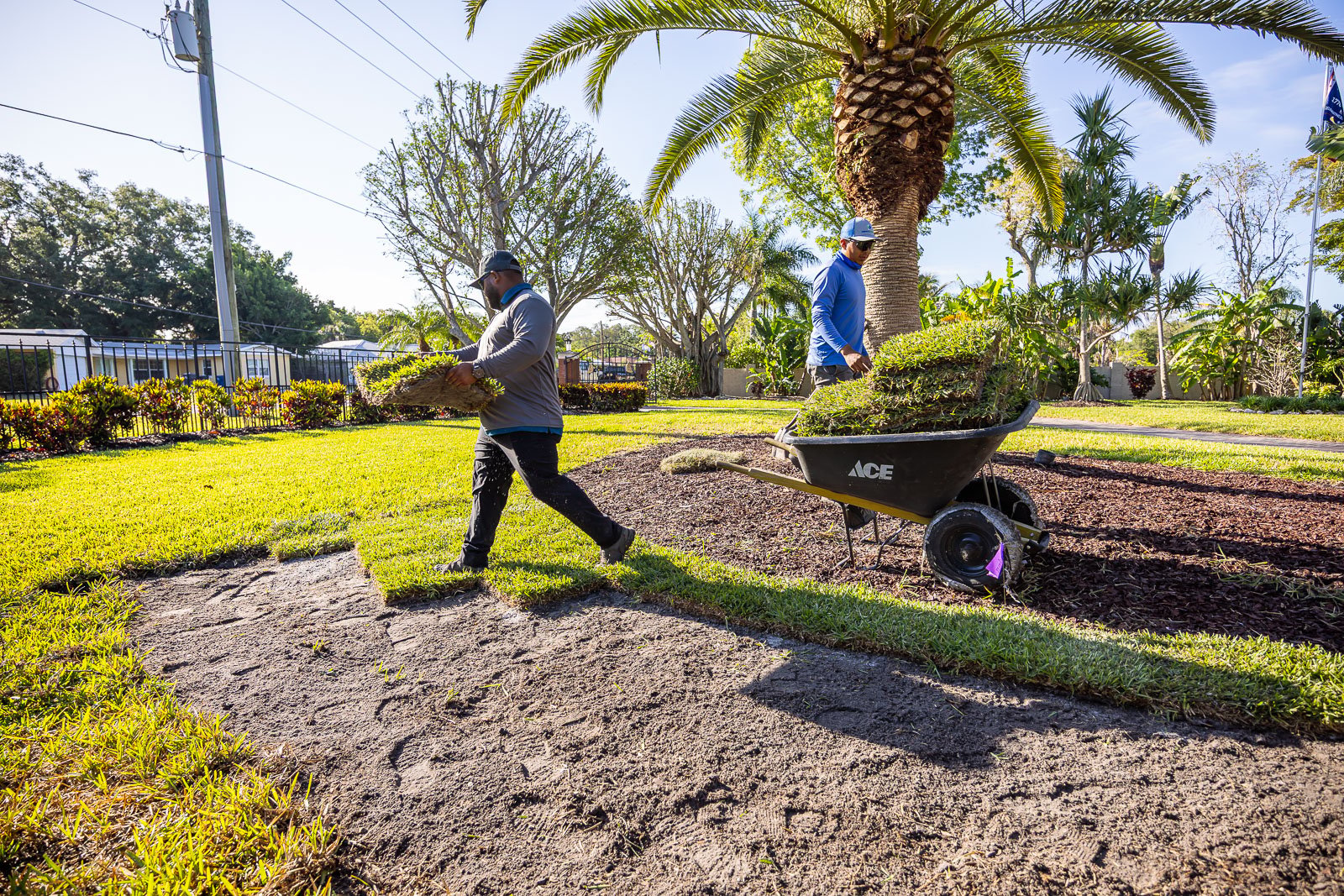 crew laying down new sod 1