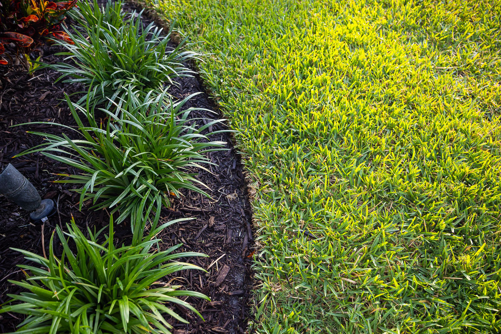 green lawn along landscape bed