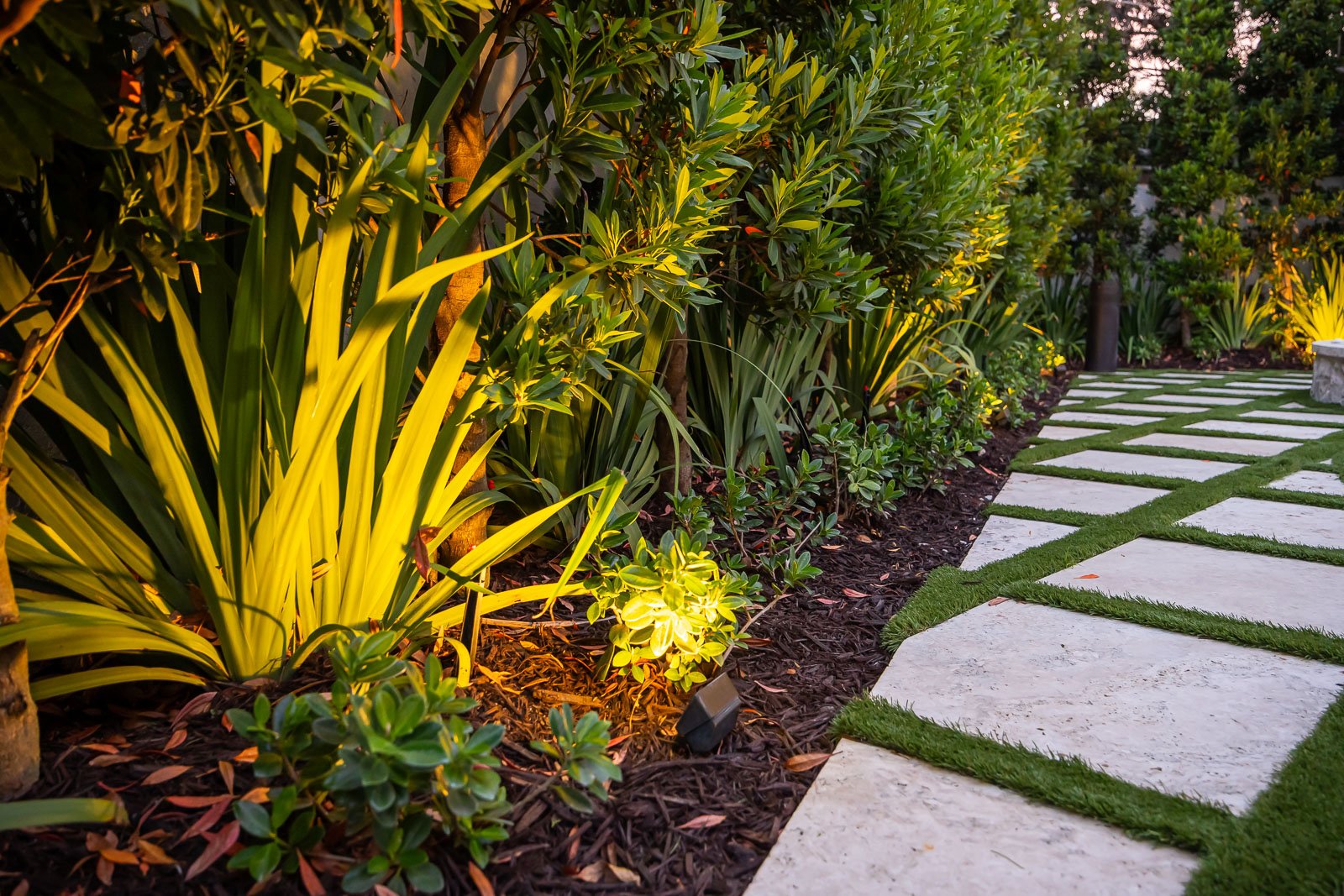 landscape and lighting along patio