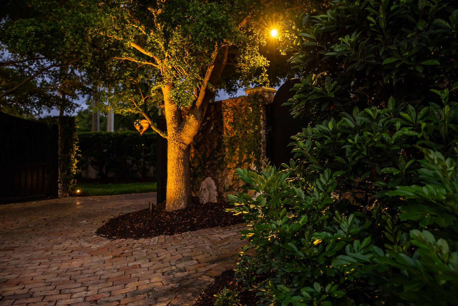 landscape bed lighting tree uplighting 1