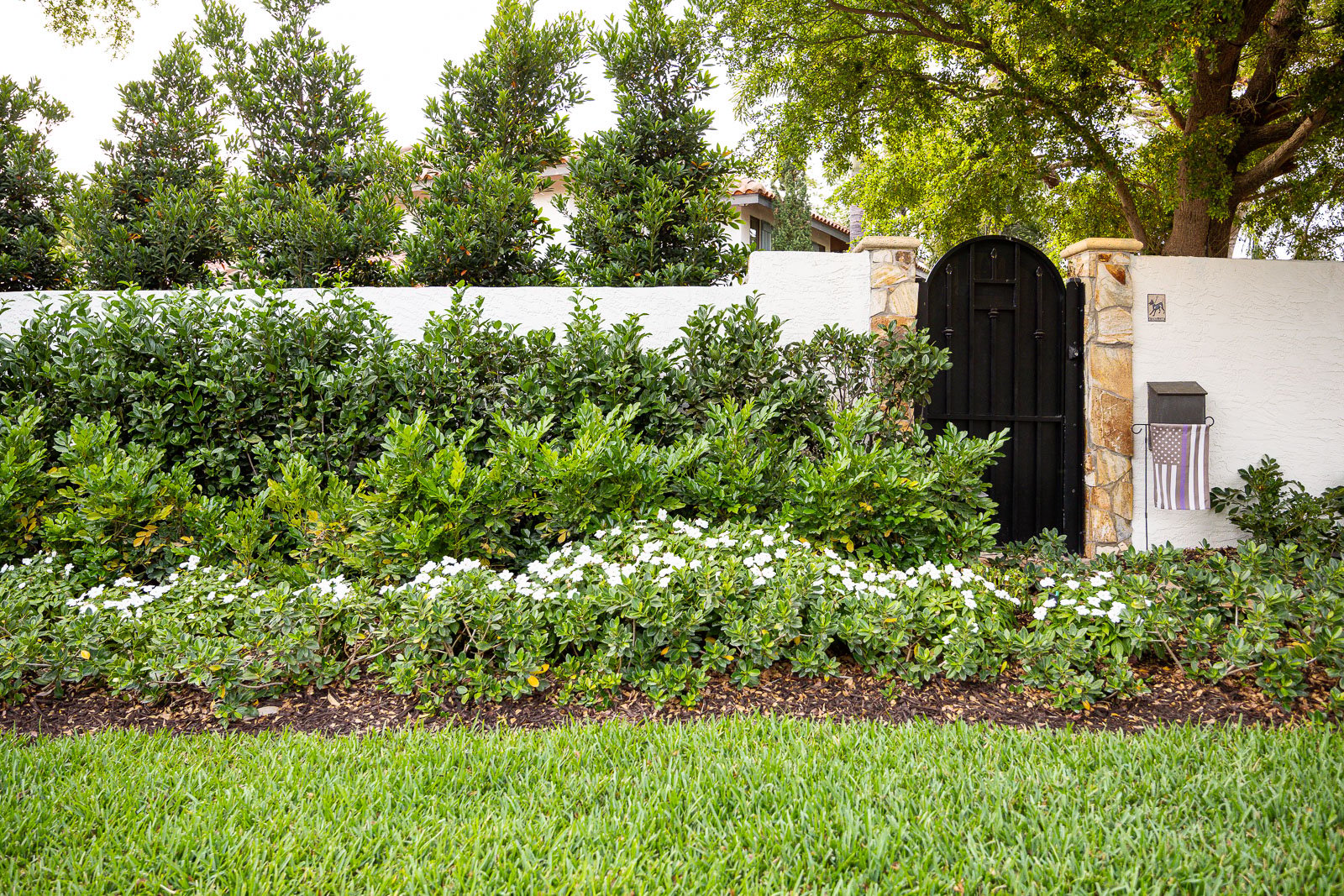 landscape beds along front of gate green lawn 1