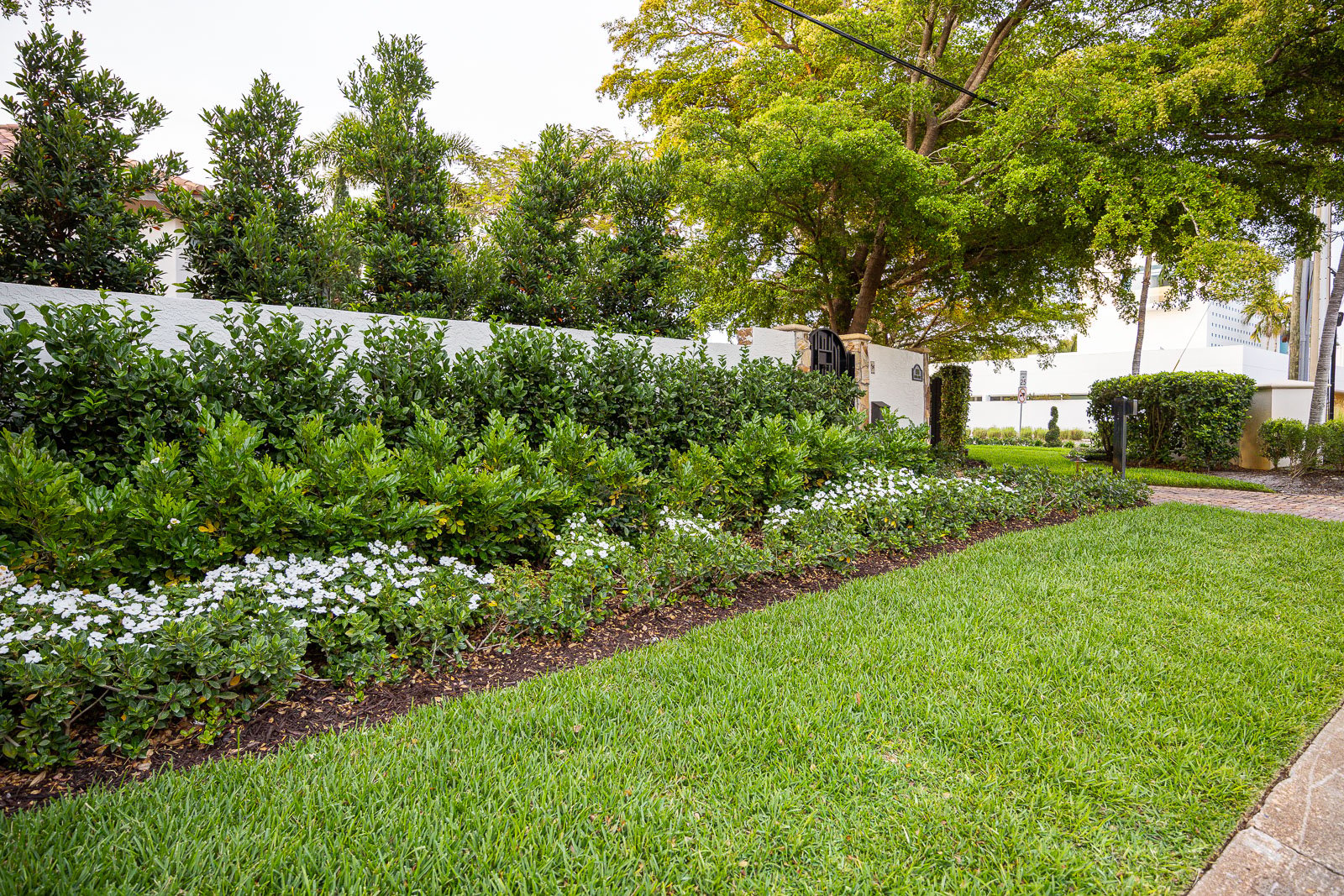 landscape beds along front of gate green lawn 5
