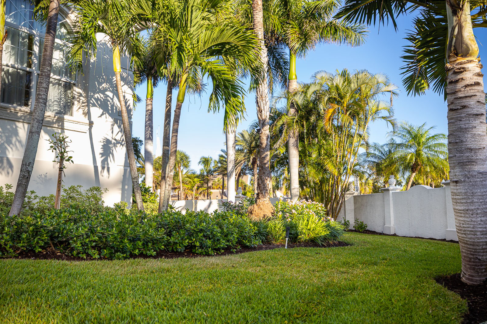 landscape beds along house and fence green lawn