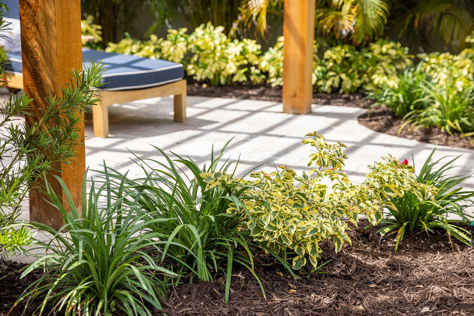 landscape beds along patio brown mulch