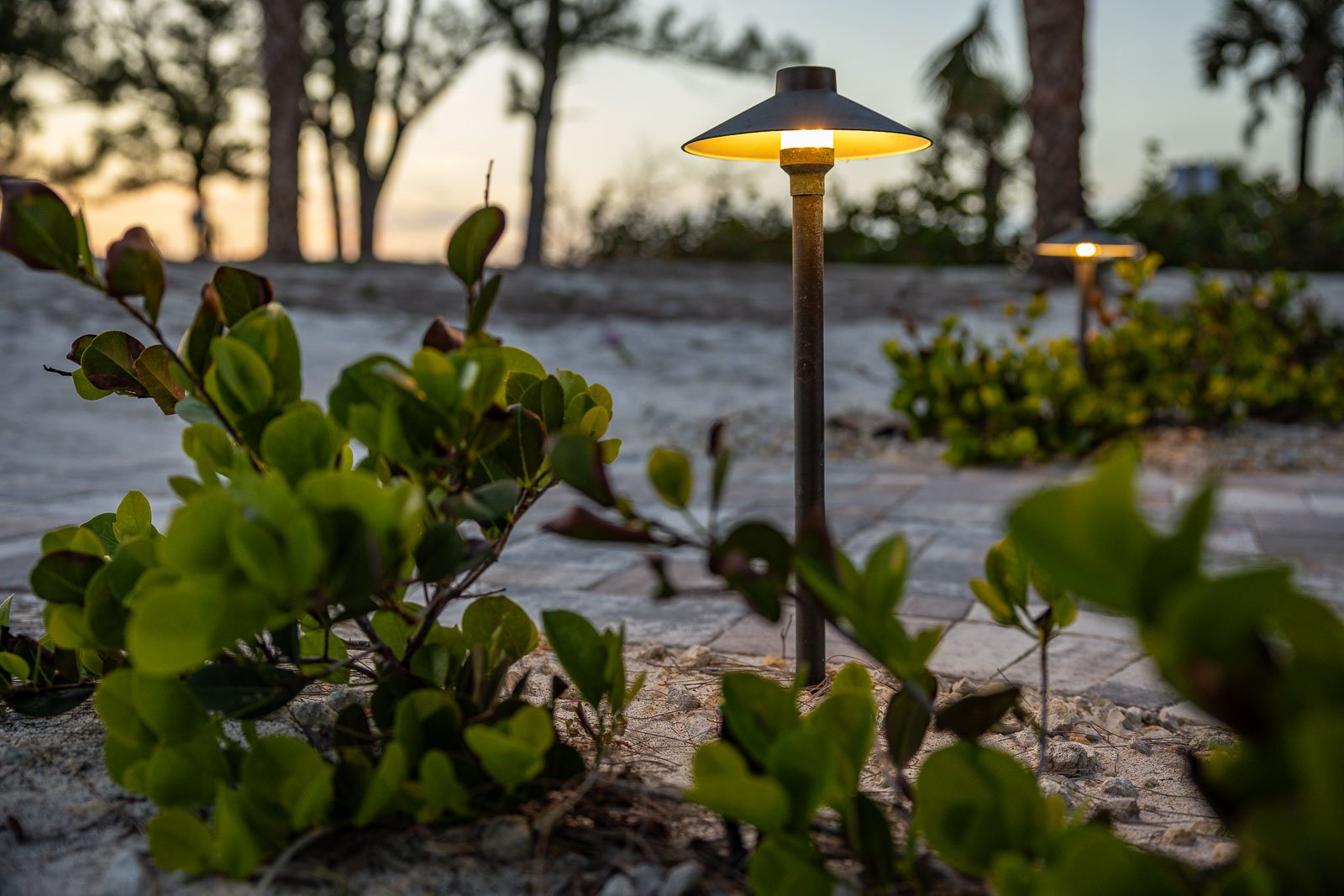 outdoor lighting landscape beds along oaver walkway