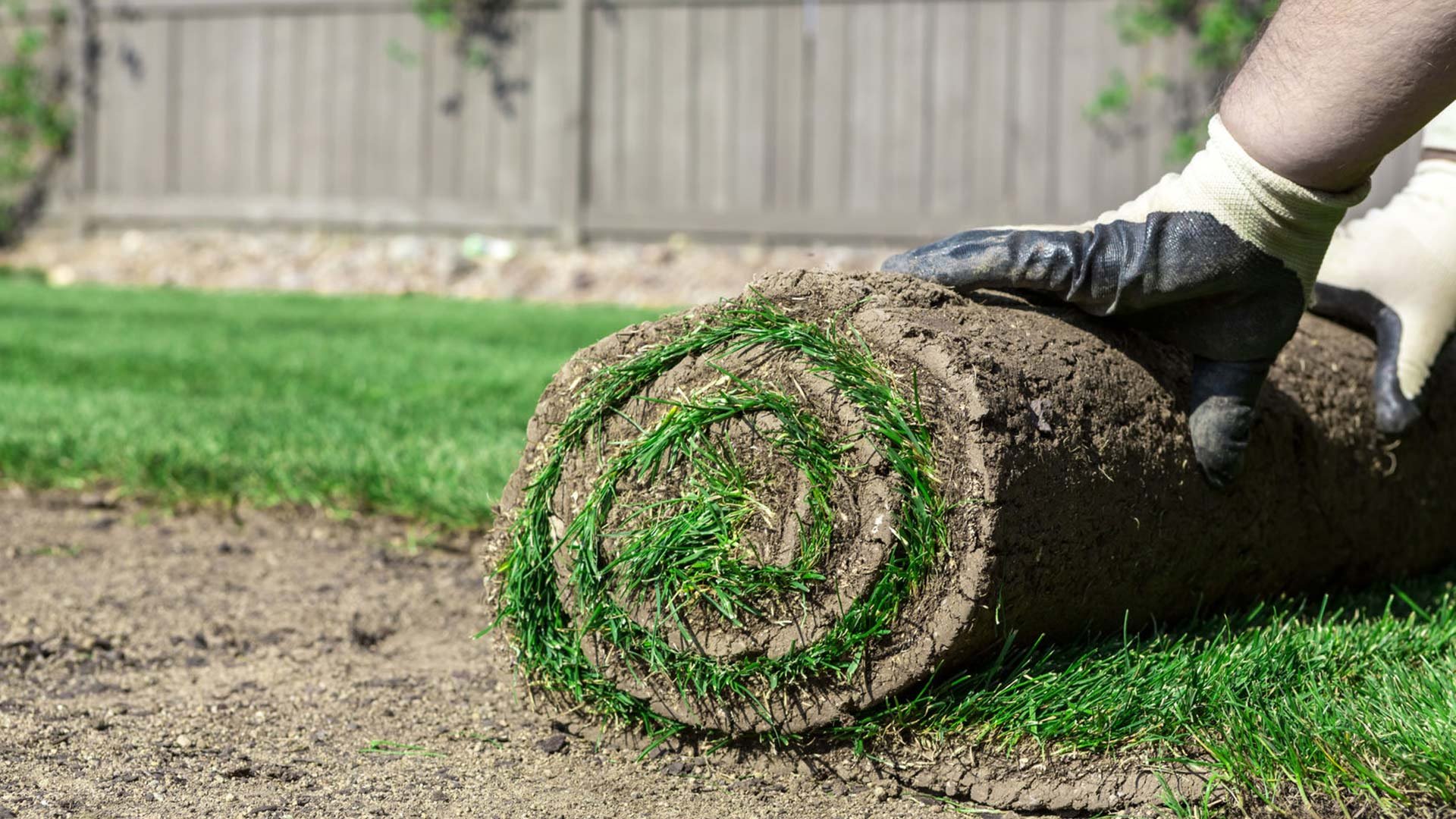 sod-being-unrolled around installed paver patio