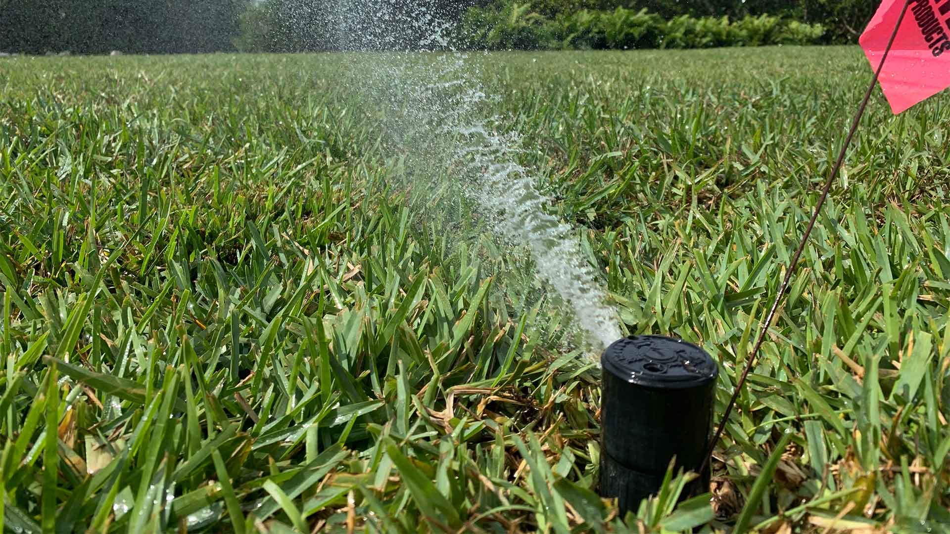 blog-lawn-irrigation-system-spraying-water