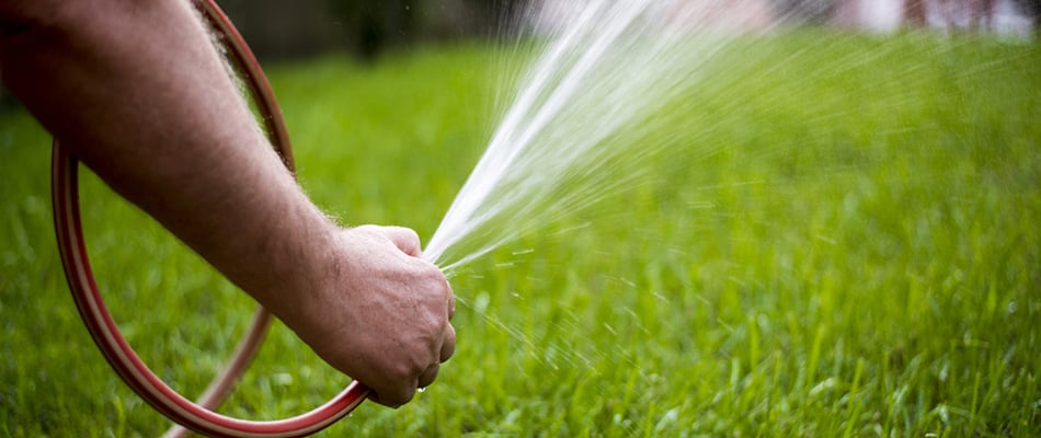 content-hand-watering-lawn