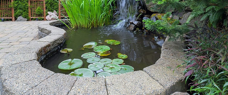 water feature in backyard