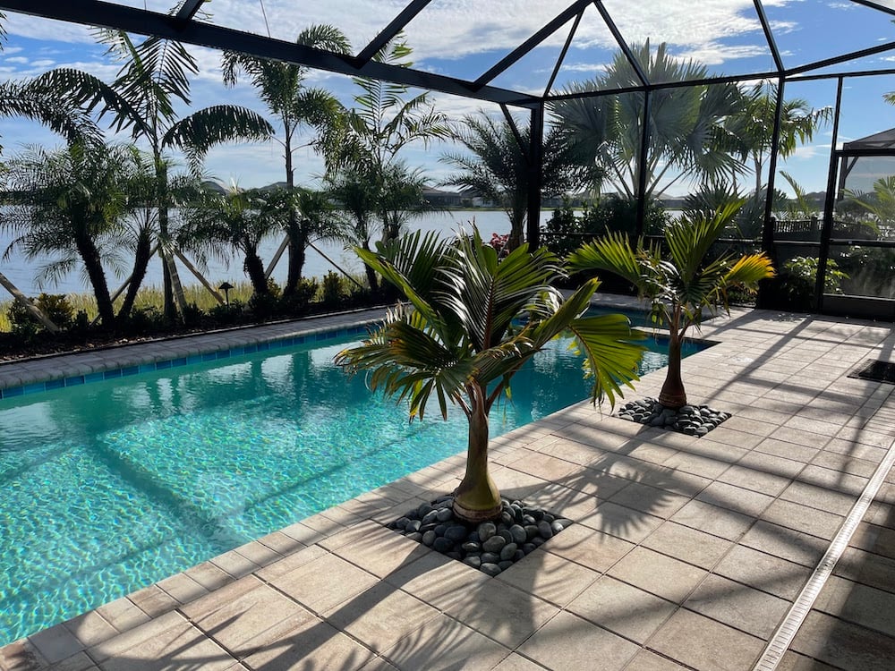 covered pool with paver surround and palm trees