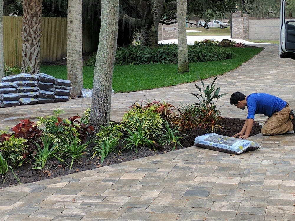 crew installing mulch on planting beds