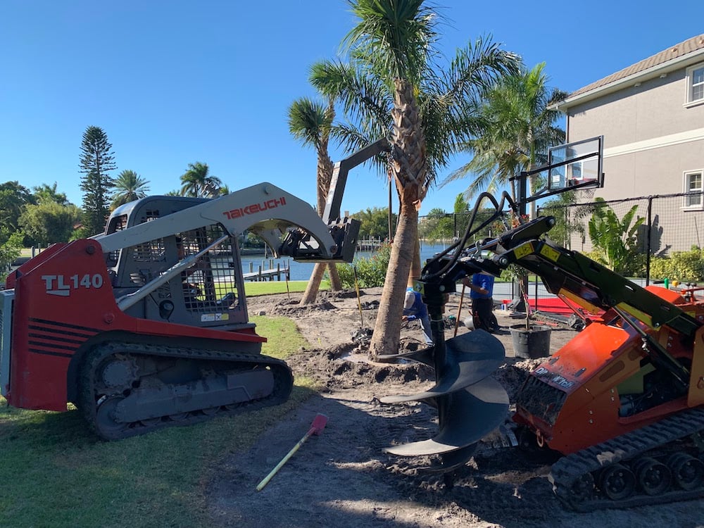 crew with machines placing palm trees