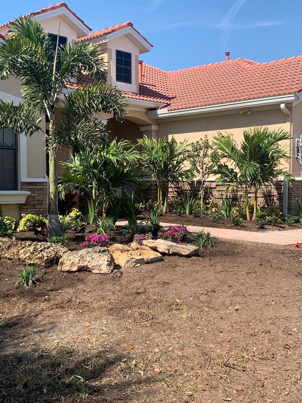 dirt front yard with palm trees