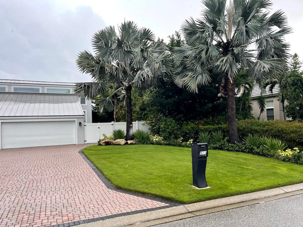 front yard of house with green grass palm trees and paver driveway apron