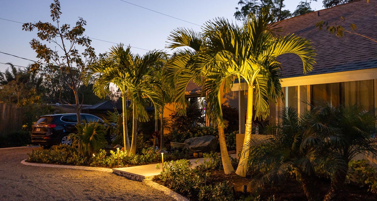 outdoor landscape lighting with uplighting on palm trees