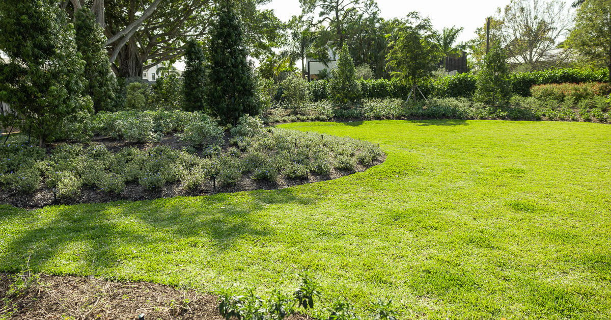 residential maintenance planting bed and turf on sandy soil