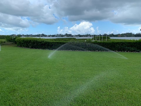 irrigation on lawn