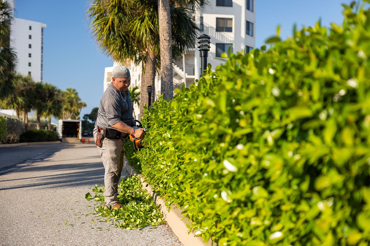 crew trimming hedges on commercial property 