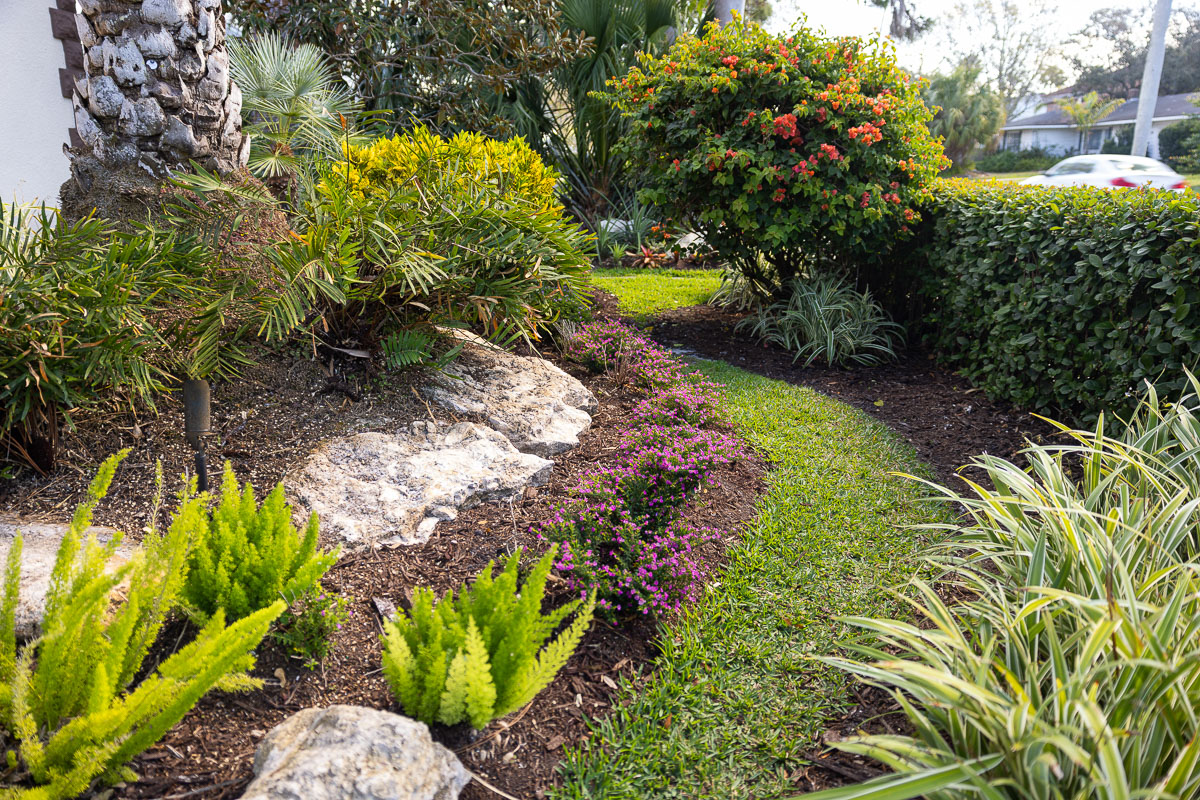 landscape beds with perennial plants 