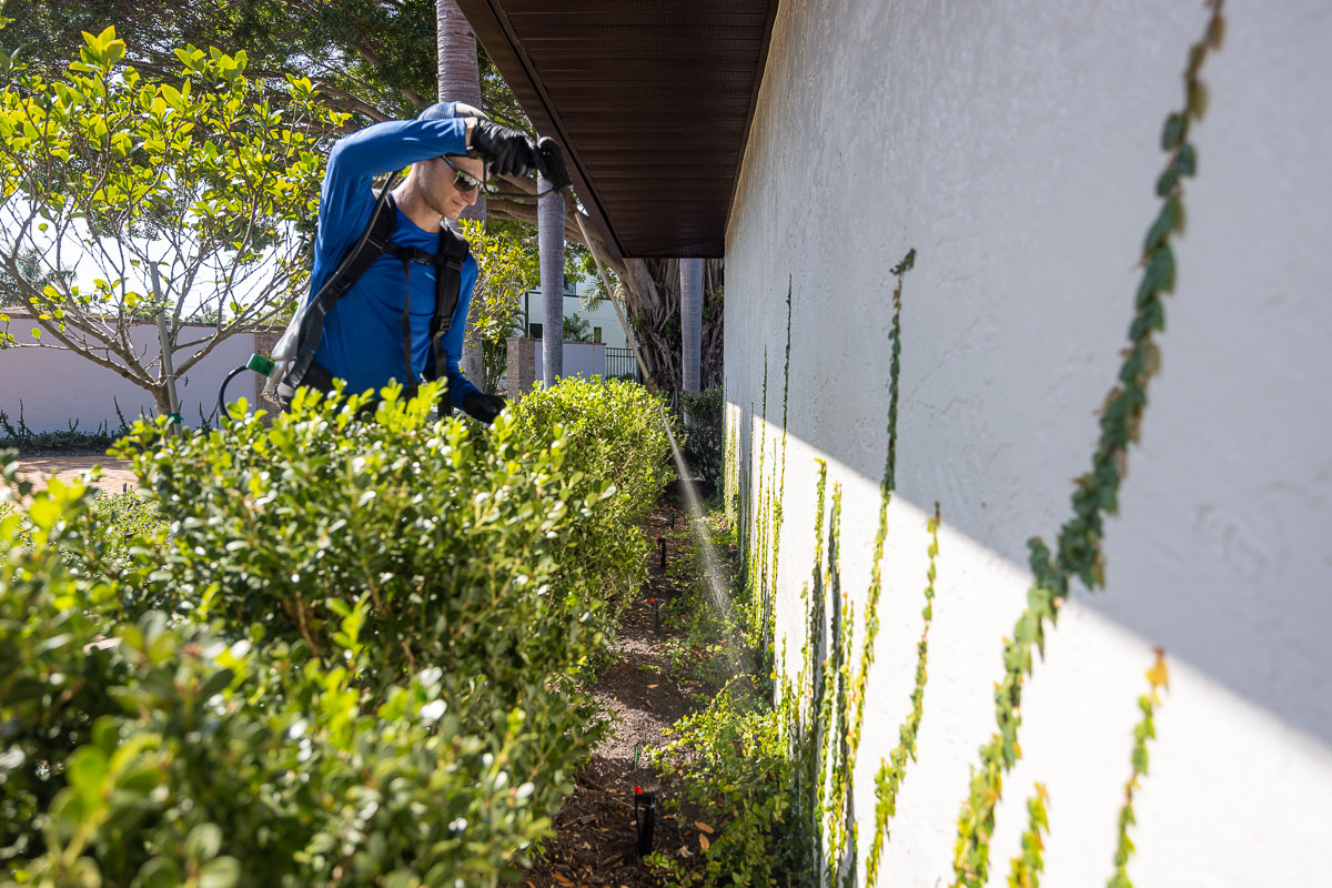 perimeter pest control technician 2