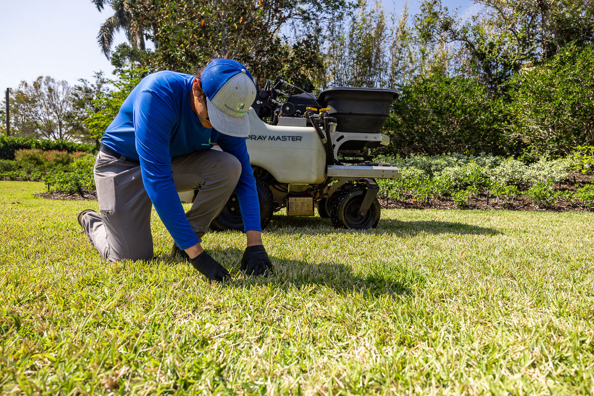 residential lawn care technician fertilization 6