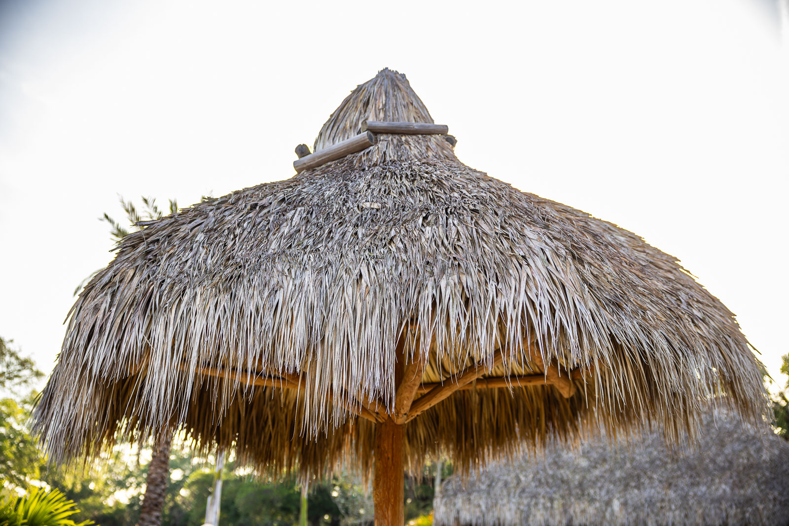 close up of tiki hut 