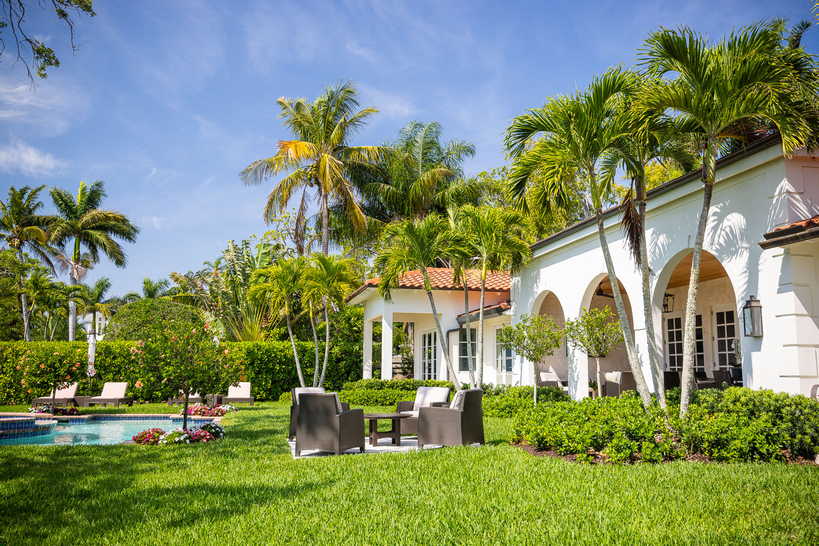 backyard florida home landscape palm trees