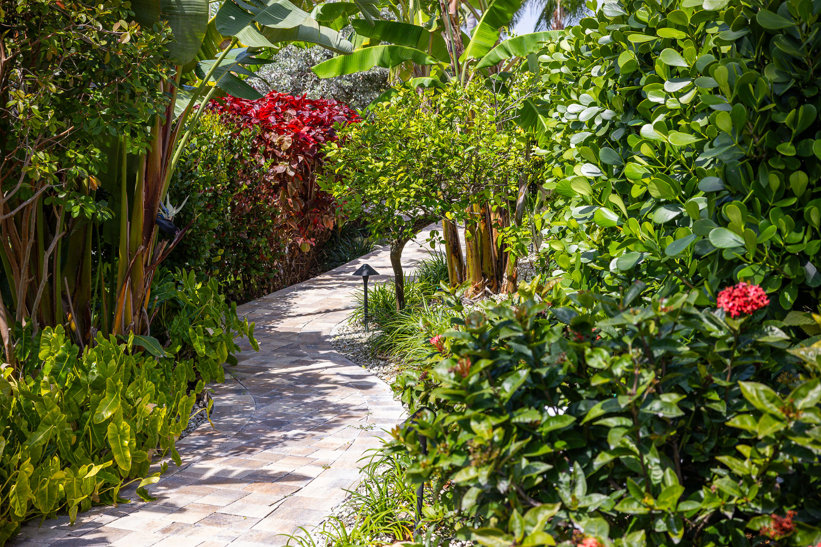 paver walkway with tropical plants 