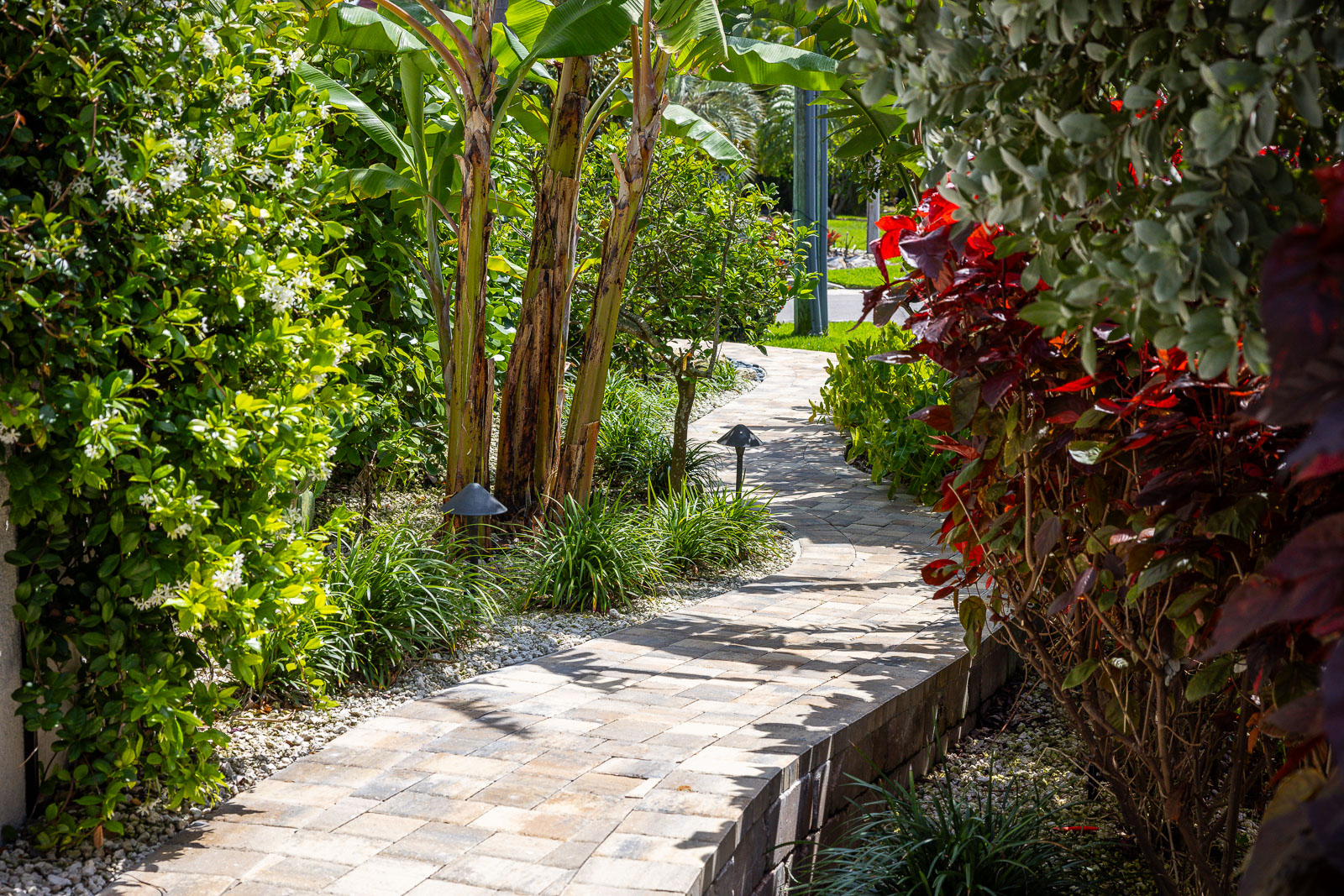 paver walkway with tropical plants in florida