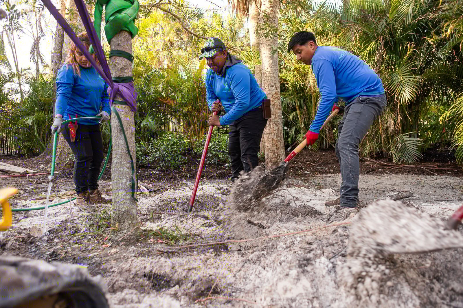 crew digging holes for landscaping