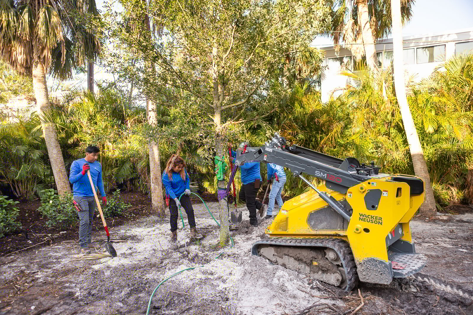 crew tree planting 18