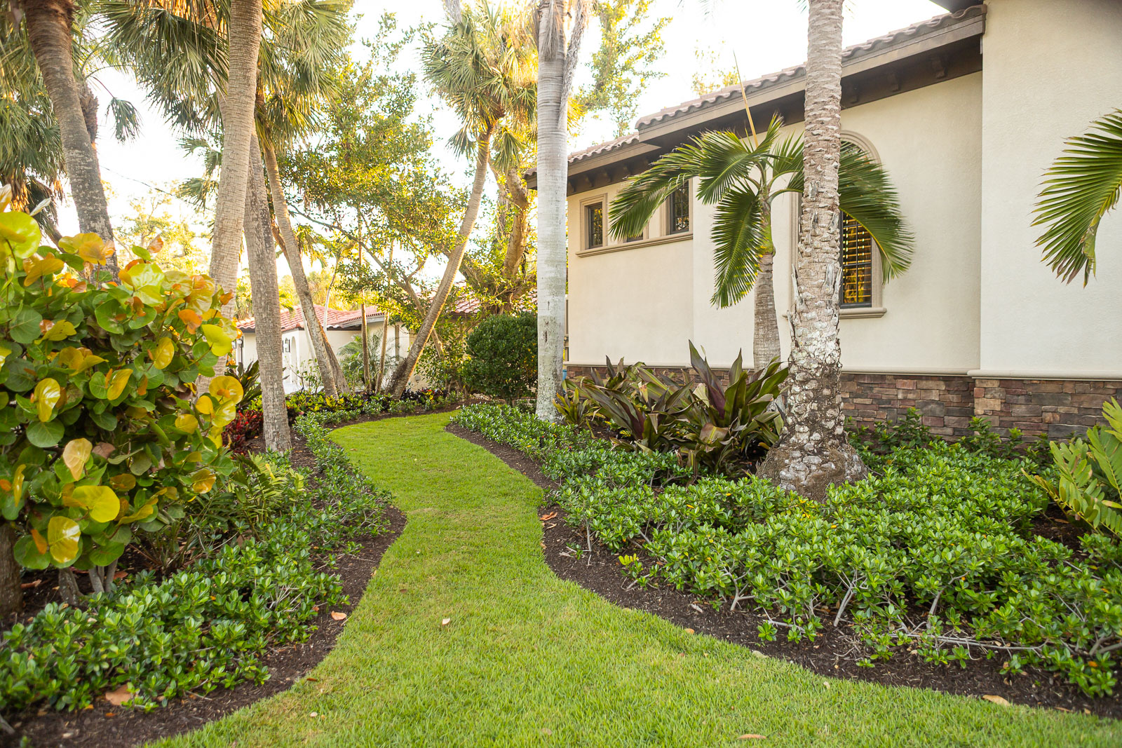landscape maintenance beds green lawn palms