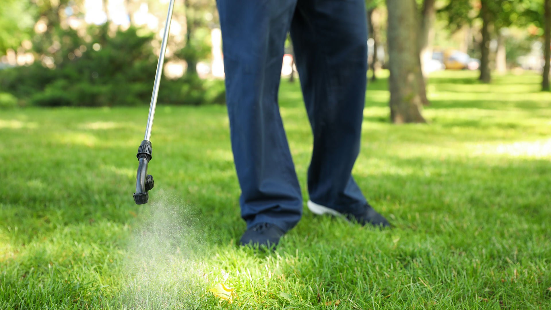 lawn care technician applying weed control