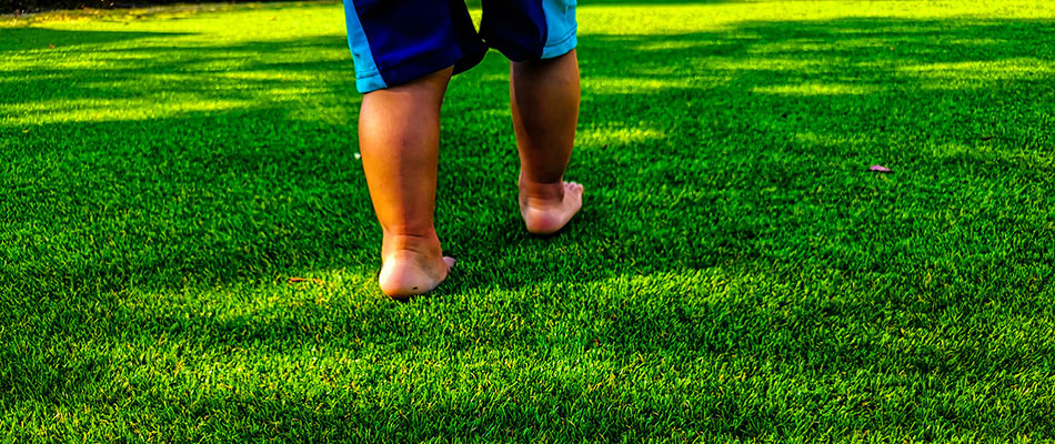 Child walking over artificial turf installed in in Bird Key, FL.