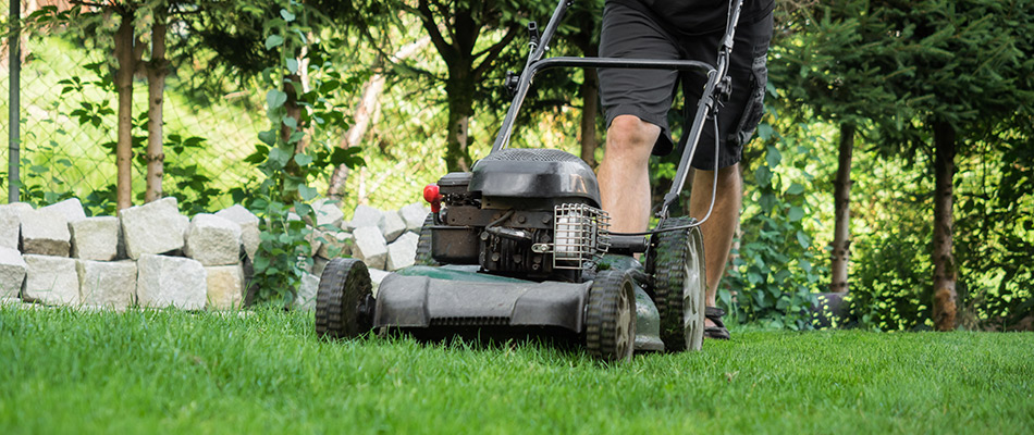 Homeowner mowing new sod in lawn in Bradenton, FL.