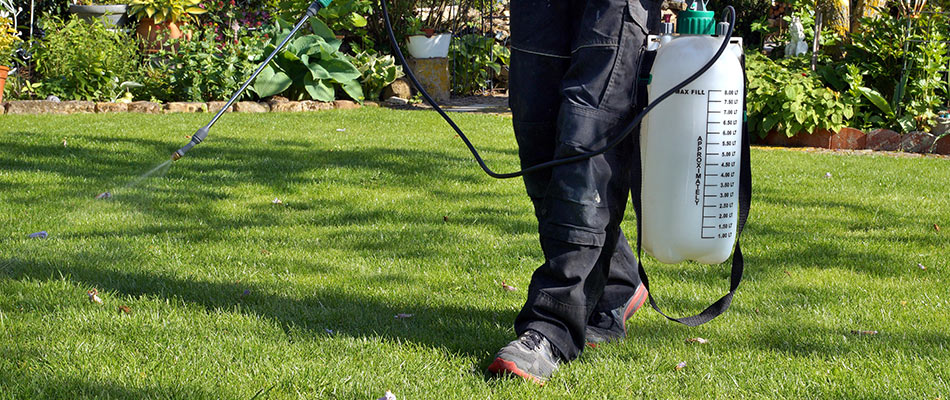 Lawn care professional applying pre-emergent weed control to lawn in Bird Key, FL.