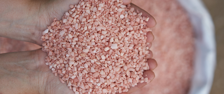Potassium component for fertilizer in palms of hands in Ellenton, FL.