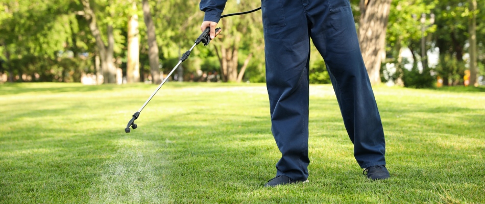 Professional applying fire ant control to lawn in Siesta Key, FL.