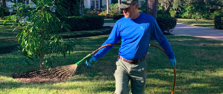 A professional applying fertilizer to client's lawn in Anna Maria, FL.