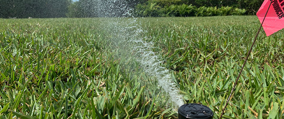 Sprinkler watering lawn in Long Boat Key, FL.