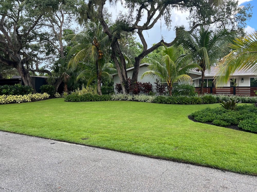 green lawn in front yard