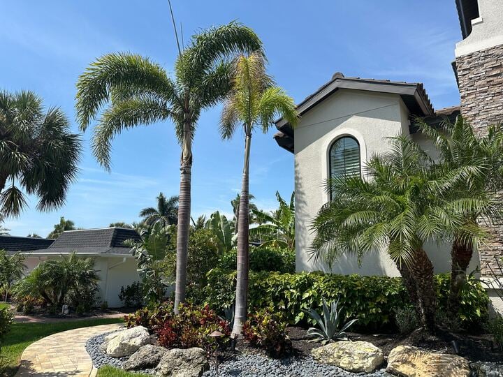 palm trees in front of residence 