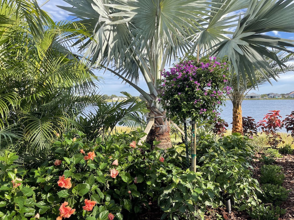 planting beds near water