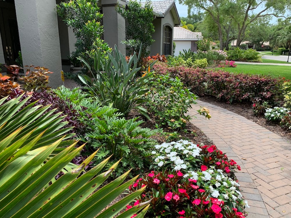 tropical landscape beds with brick walkway