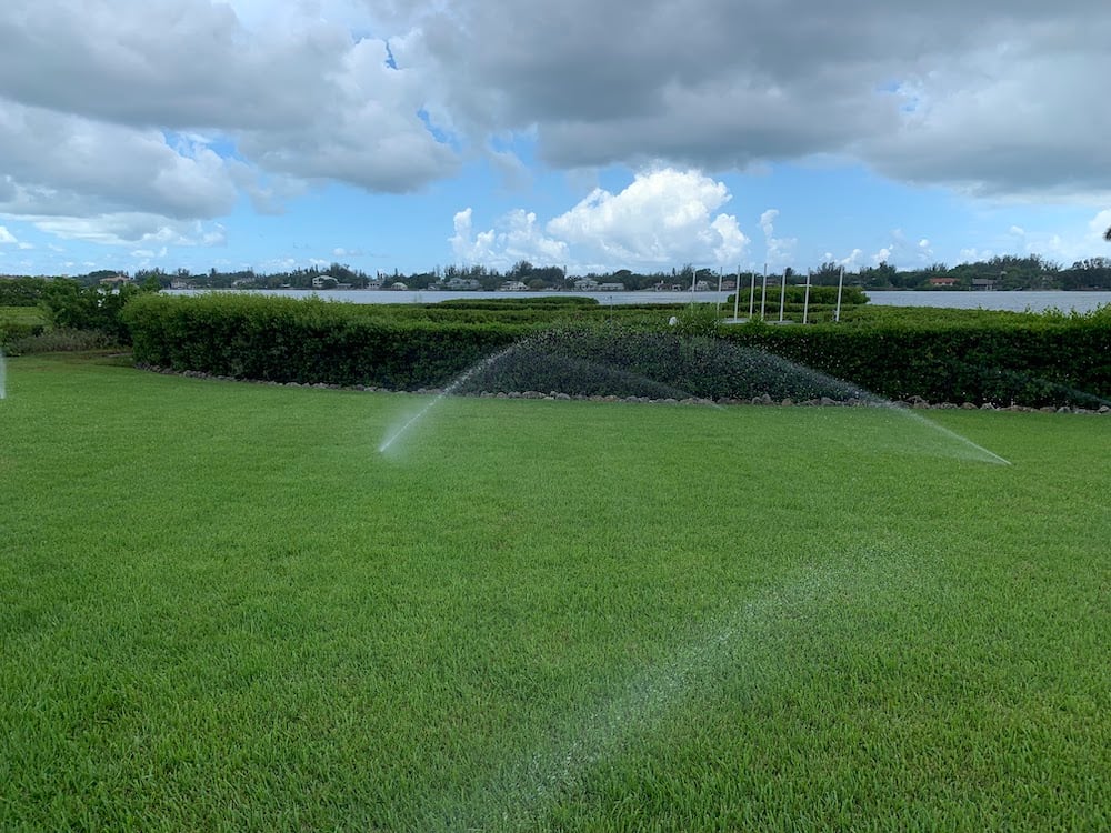 watering grass