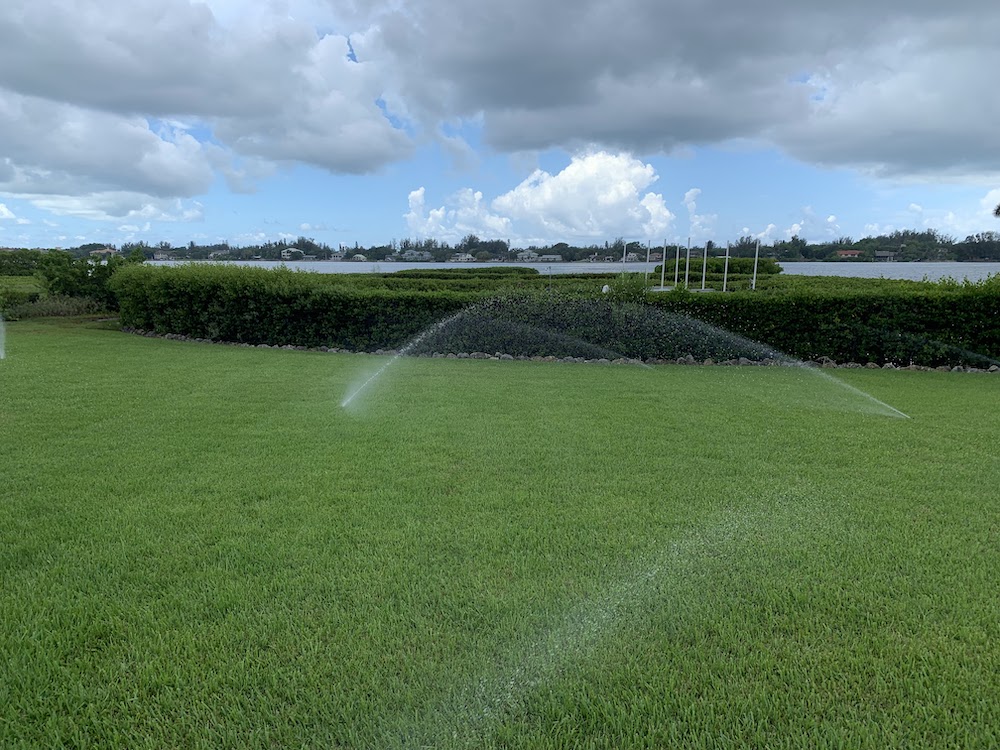 irrigation on lawn 